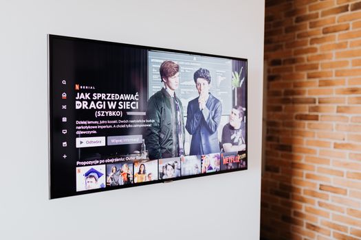 Overzicht van de beste Netflix series ooit met een top 10 voor 2026, populair bij bingewatchers in Alkmaar